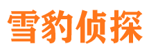 月湖找人公司